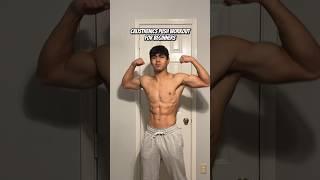 Calisthenics Push Workout For Beginners