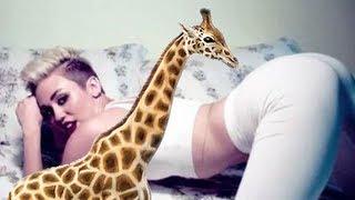 Giraffe Reacts to Miley Cyrus Twerking