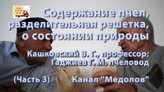 Содержание пчел, разделительная решетка, о состоянии природы  Кашковский В. Г., Гаджиев Г. М.