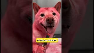 Tiểu Bạch vụng trộm ăn son môi ! #emthocreview #shorts #trend #viral #hàihước #giảitrí