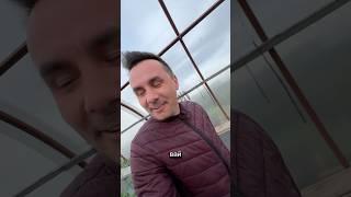 Как вам папино решение?