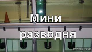 Как построить маленькую разводню для дискусов. #1