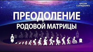 Зачем собирать горизонтальный опыт #ШколаСорадение #Гарат