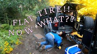 Unexpected Flat Tire Deep in Oregon’s Tillamook Forest!