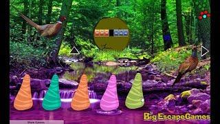 Big Pheasant Forest Escape walkthrough Bigescapegames.