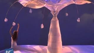 MOMIX dance company performs in Shanghai