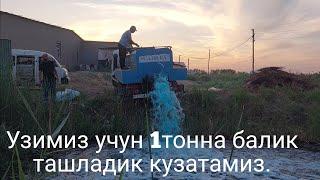 Узимиз учун бокишга балик ташладик  кузатамиз.