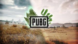 ЛЕС И ПУСТЫНЯ ● PUBG