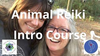 Animal Reiki Intro Course