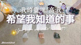 塔羅占卜|我的靈魂/高我希望我知道的事(Timeless)
