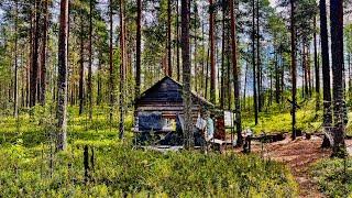 ТАЕЖНАЯ ЖИЗНЬ.ТРИ ДНЯ В ТАЙГЕ.ИЗБУШКА ОТЦА.РЫБАЛКА В СЕВЕРНОЙ КАРЕЛИИ.