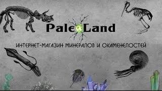 Интернет-магазин PaleoLand