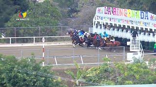 8ª. carrera | 3ª. válida | Bendecida | Hipódromo La Rinconada | Reunión 6 | 2025