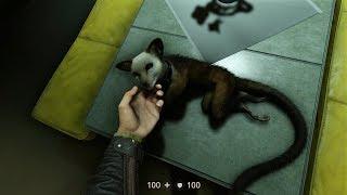 Wolfenstein II: Коды Энигма