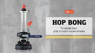 Устройство для сухого охмеления Hop Bong от Kegland