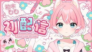 〖初配信〗はじめまして、柏木ももです！#新人vtuber