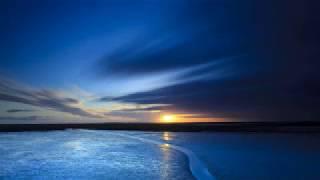 Dying of the Light