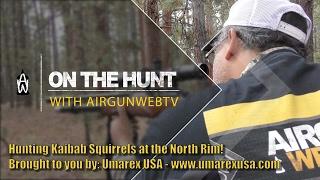 On the Hunt with AirgunWebTV - Hunting Kaibab Squirrels with the Walther MaximaThor and Walther Parr