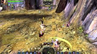 Dragon nest PvP : Валькирия пытается агрить мирку :D