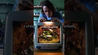 I made an iMac terrarium!