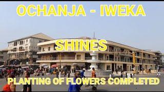 OCHANJA ROUNDABOUT - IWEKA ROAD SHINES  AS PLANTING OF FLOWERS COMPLETED