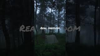 Real freedom #freedom #nature