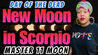 New MASTER Moon in Scorpio: Numerology, Meaning, Energy, What to Do, Ancestors Day, & More