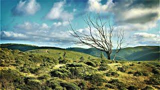 San Mateo County - Hike to the Discovery Site