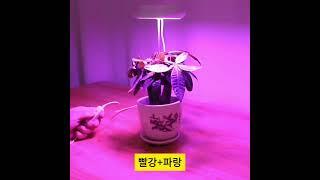 LED 식물등 식물조명 생장 성장 재배등 쑥쑥이 다육이 난초 신속 성장등 led바
