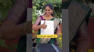 eetharam illalu garden @eetharamillalu #eetharamillalu