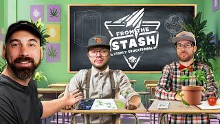 The Complete Guide to Vegetation When Growing Cannabis | From The Stash: Highly Educational Ep. 6