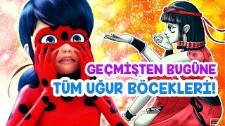 GEÇMİŞTEN BUGÜNE TÜM UĞUR BÖCEKLERİ! - MUCİZE: UĞUR BÖCEĞİ İLE KARA KEDİ