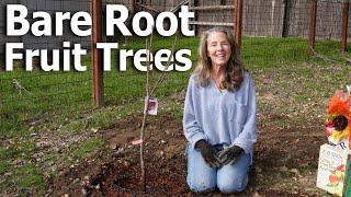 Grow Your Own Fruit!  It's Bare Root Fruit Tree time!    #garden #ediblegarden #gardeningtips