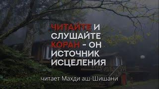 Сура 2 «Аль-Бакара» 1-141 Красивое чтение Корана [Махди аш-Шишани]