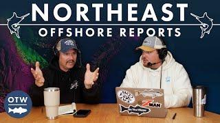 Swordfish bite is BACK | Northeast Offshore Fishing Report | October 2nd 2024