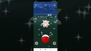  Shiny Pokemon Clefairy  Spawn  Pokemon Go  Шайни Клефейри 