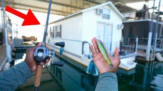 We Caught So Many Fish Under This Floating House!