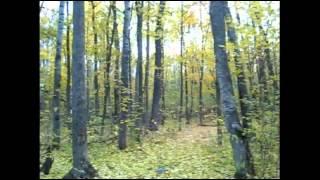 Людмила Зыкина  Падают листья .mp4