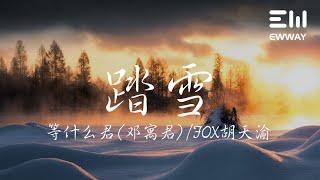 踏雪 - 等什麼君(鄧寓君)/FOX胡天渝「飛鴻起 踏破雲煙 萬水千山之間，且看我 一騎當關 敢教萬夫莫開顏」動態歌詞lyrics