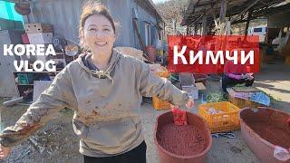 Кореяда кимчи жасау | Кимчиді кәрістер қалай жасайды?