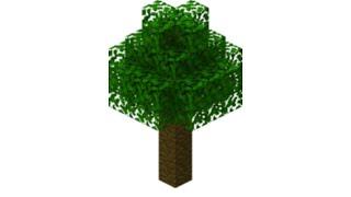 If i Find any tree the video ends - Minecraft