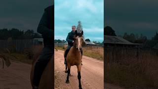 Прогулка верхом по осени #horse