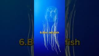 Top 10 Most Dangerous Sea Creatures in the world  #shorts #viral