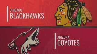 Chicago Blackhawks vs Arizona Coyotes | Feb.01, 2020 | Чикаго Блэкхокс - Аризона | НХЛ обзор матчей