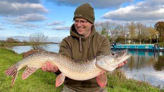 River Avon ZANDER & PIKE Fishing on the TIP with CIRCLE HOOKS..!