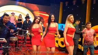 grupo MANDINGO - Numero Equivocado (TV - Playback)