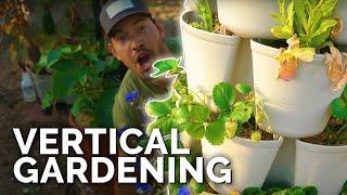 Vertical Gardening 101 | GreenStalk Garden Review