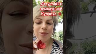 Самый вкусный сорт клубники Купчиха #дача #садоводничество #огород #земляникаизсемян