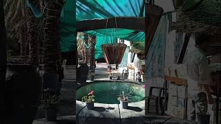 Subhanallah #quran #madinahlive #shortsfeed  #beautiful #fountain #garden #travel #quranrecitation