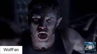 All scott MCcall roars (s1-s6a)